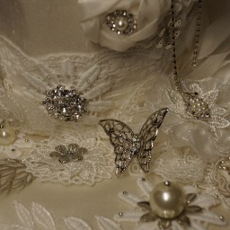 Wildly Created is a go!!