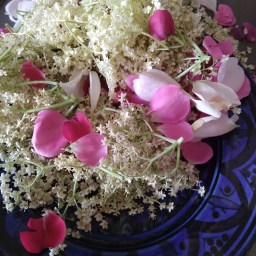 Summer hedgerow delights.