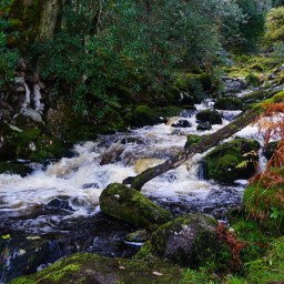 A day of rainbows and waterfalls.