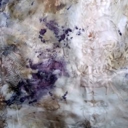 More adventures with seaweed