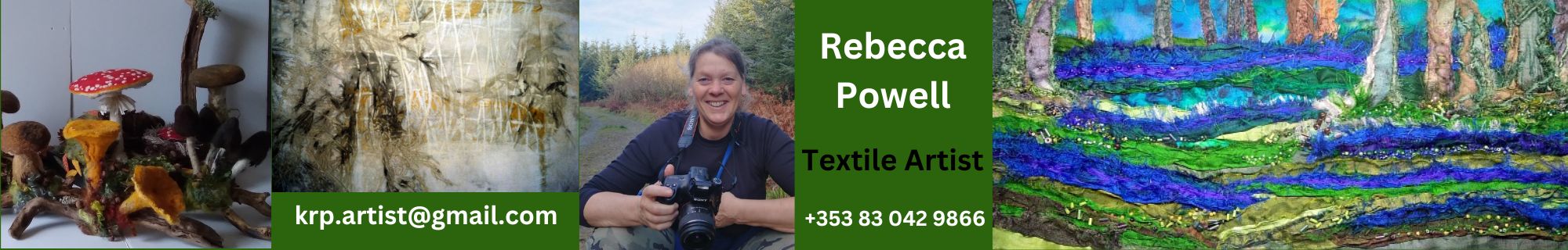 Karima Rebecca Powell Artist